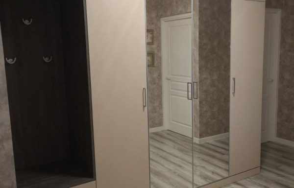 Шкаф-купе в прихожую с зеркалом